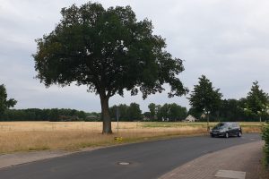 Falkenbergstraße, Gebiet des Bebauungsplans 329