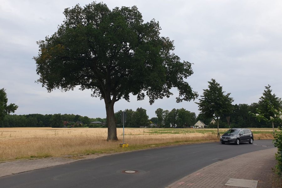 Falkenbergstraße, Gebiet des Bebauungsplans 329