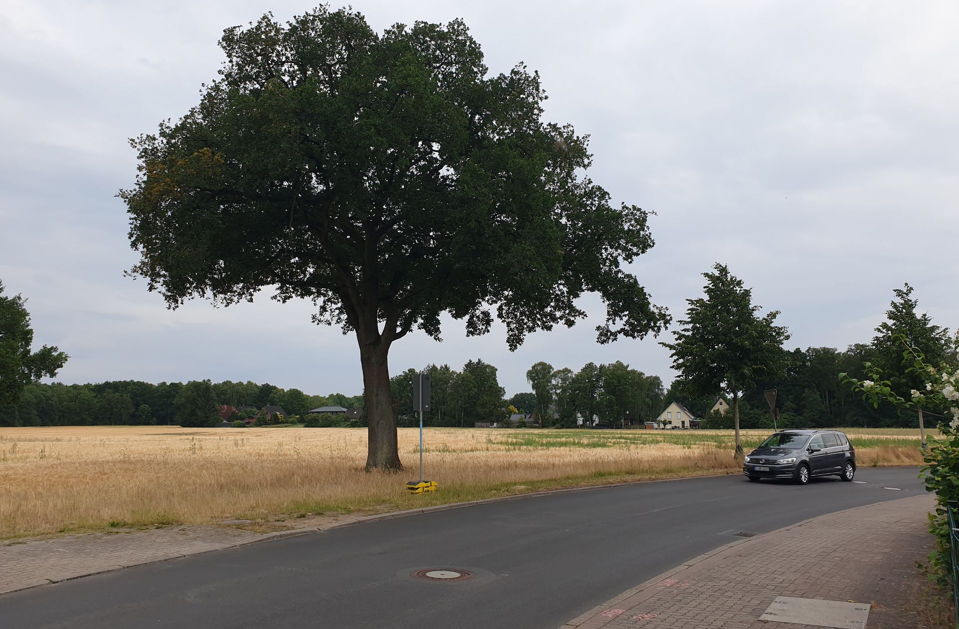 Falkenbergstraße, Gebiet des Bebauungsplans 329